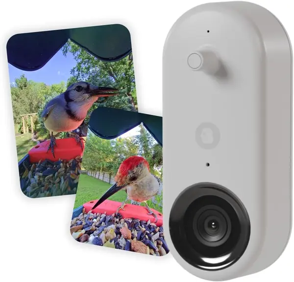 Bird Buddy Nature Cam Pro - 5MP HDR Wildlife Smart Bird Camera with 2K Video, 122 Wide Field of View, High-Fidelity Audio, Slow Motion 120fps, & Long Battery Life - IP67 Weatherproof